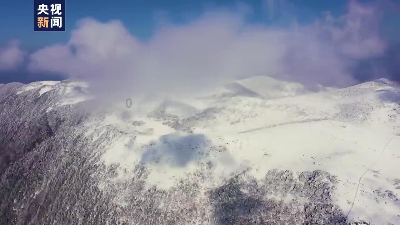 这个寒假，你和孩子制订了哪些有趣的假期计划？