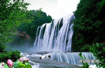 美人鱼的聚会