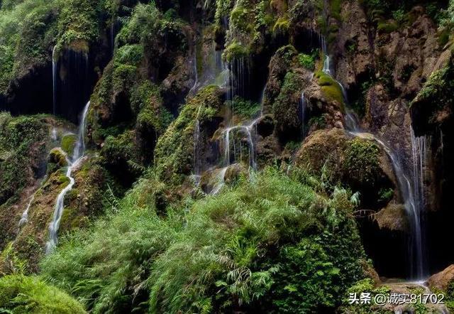 两会声音|杨甲林代表:出台老旧电梯更新指导性文件 打造智能电梯产业集群