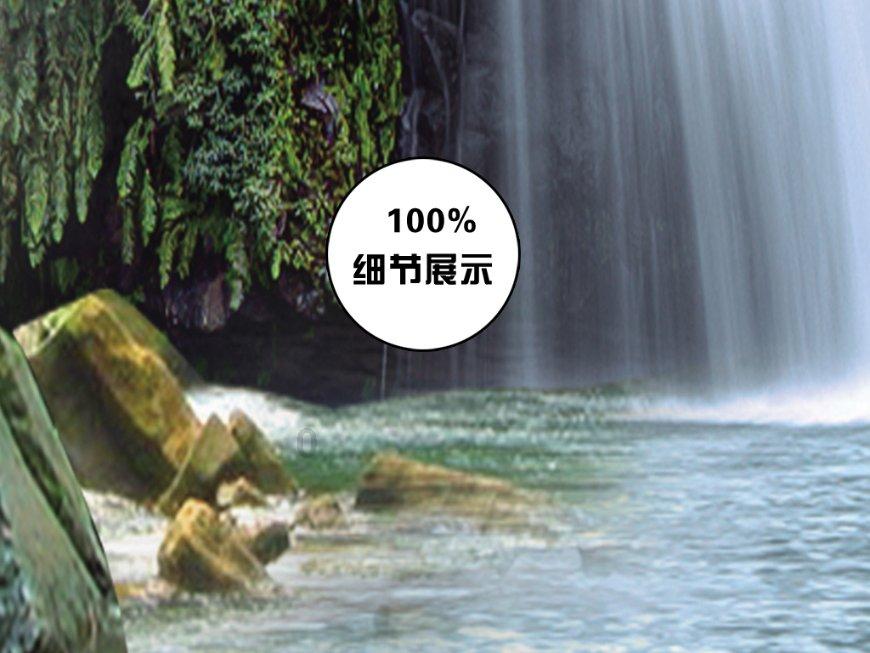 呆萌动物园