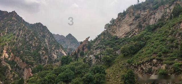 山药汤怎么做好吃又简单游戏画面